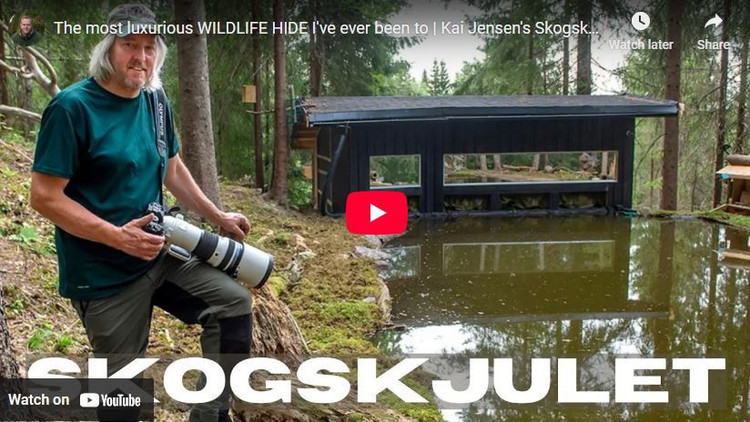 Påføring av ansiktsmaling